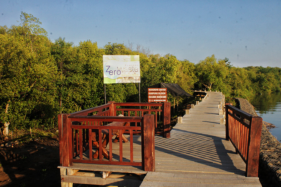 Kampung Blekok, Melihat Berbagai Macam Burung Air Di Jawa Timur